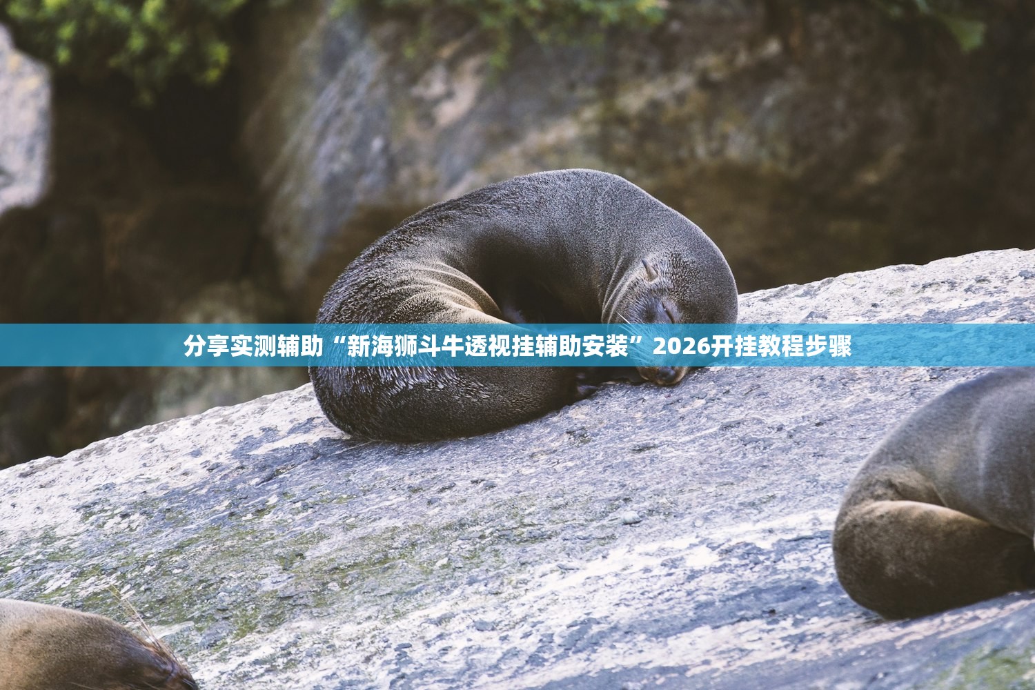 分享实测辅助“新海狮斗牛透视挂辅助安装”2026开挂教程步骤