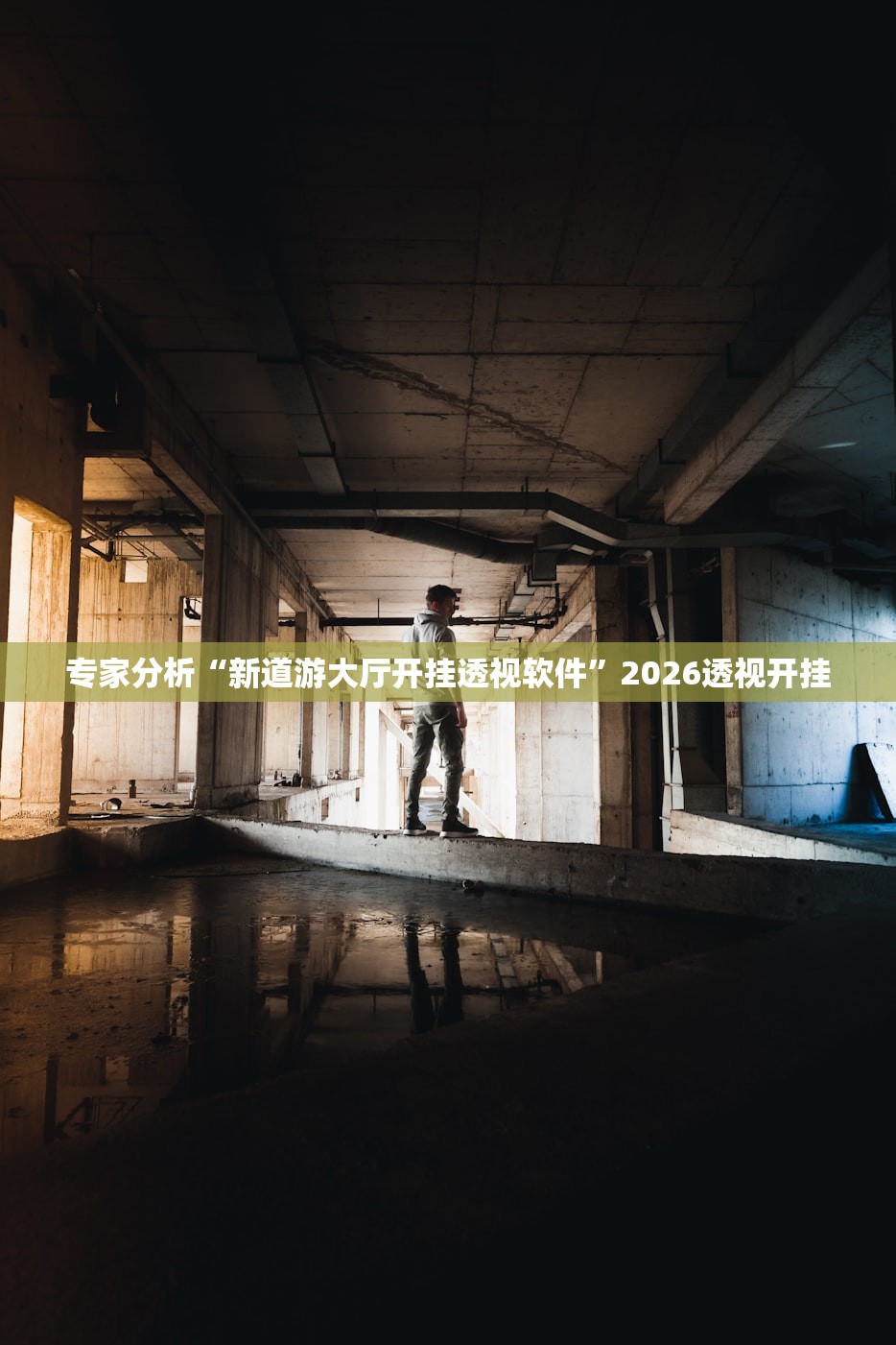 专家分析“新道游大厅开挂透视软件”2026透视开挂