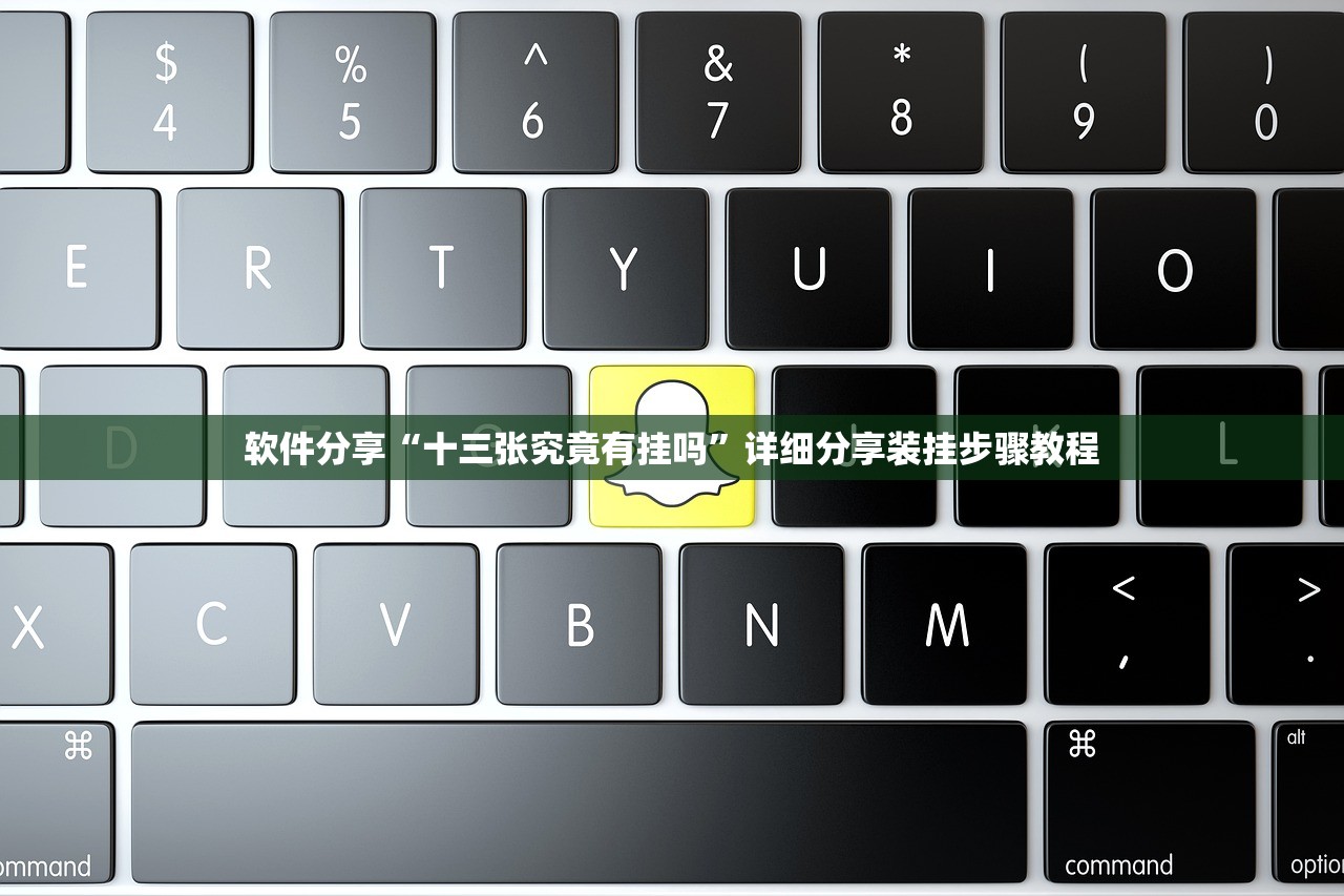 软件分享“十三张究竟有挂吗	”详细分享装挂步骤教程