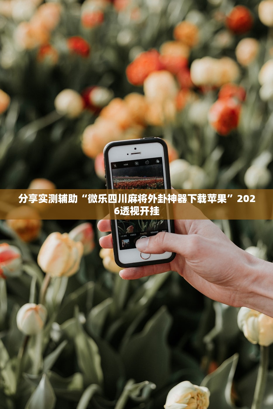 分享实测辅助“微乐四川麻将外卦神器下载苹果”2026透视开挂