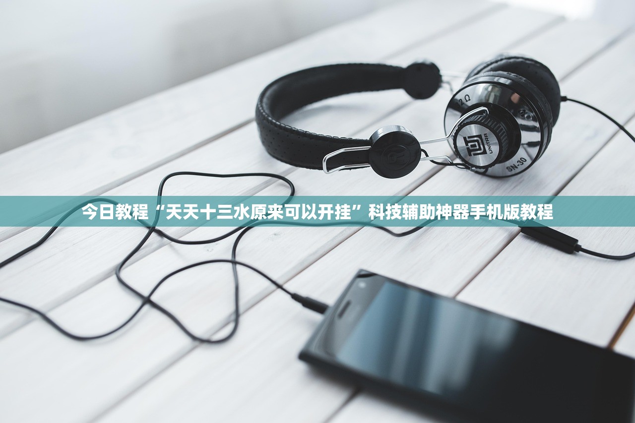 今日教程“天天十三水原来可以开挂”科技辅助神器手机版教程
