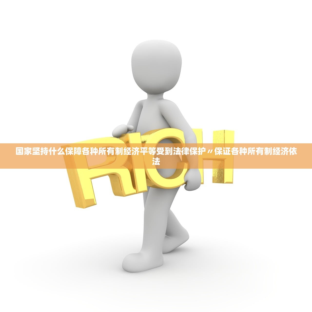 国家坚持什么保障各种所有制经济平等受到法律保护〃保证各种所有制经济依法