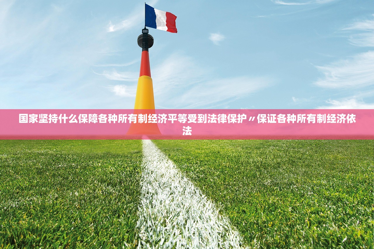国家坚持什么保障各种所有制经济平等受到法律保护〃保证各种所有制经济依法