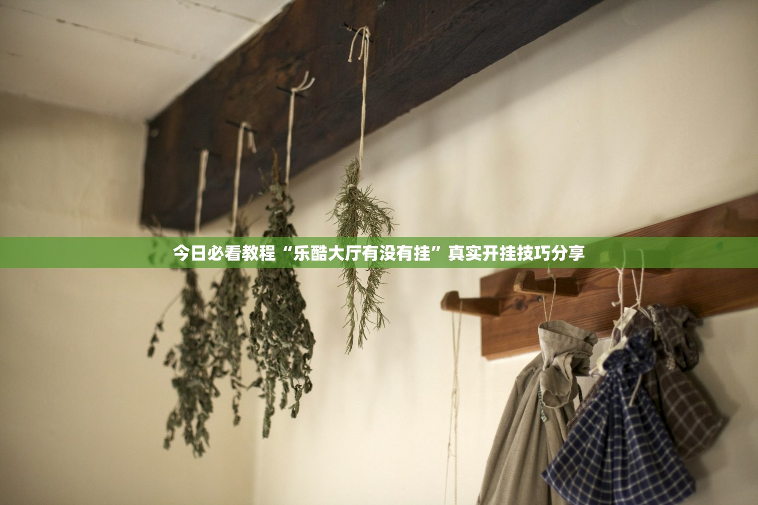 今日必看教程“乐酷大厅有没有挂”真实开挂技巧分享