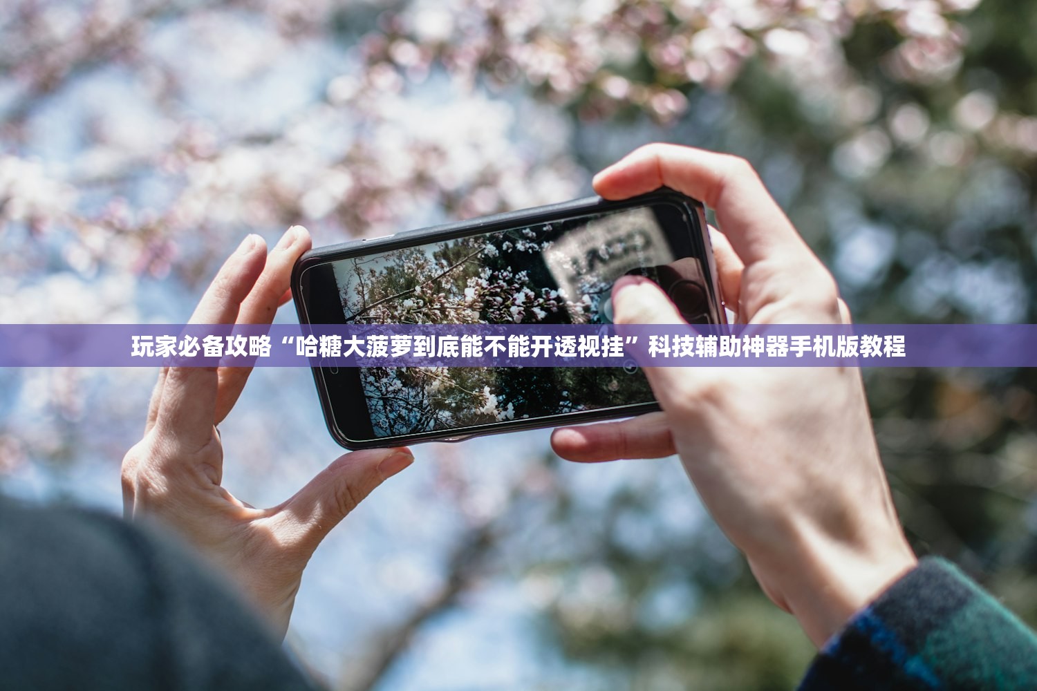 玩家必备攻略“哈糖大菠萝到底能不能开透视挂	”科技辅助神器手机版教程