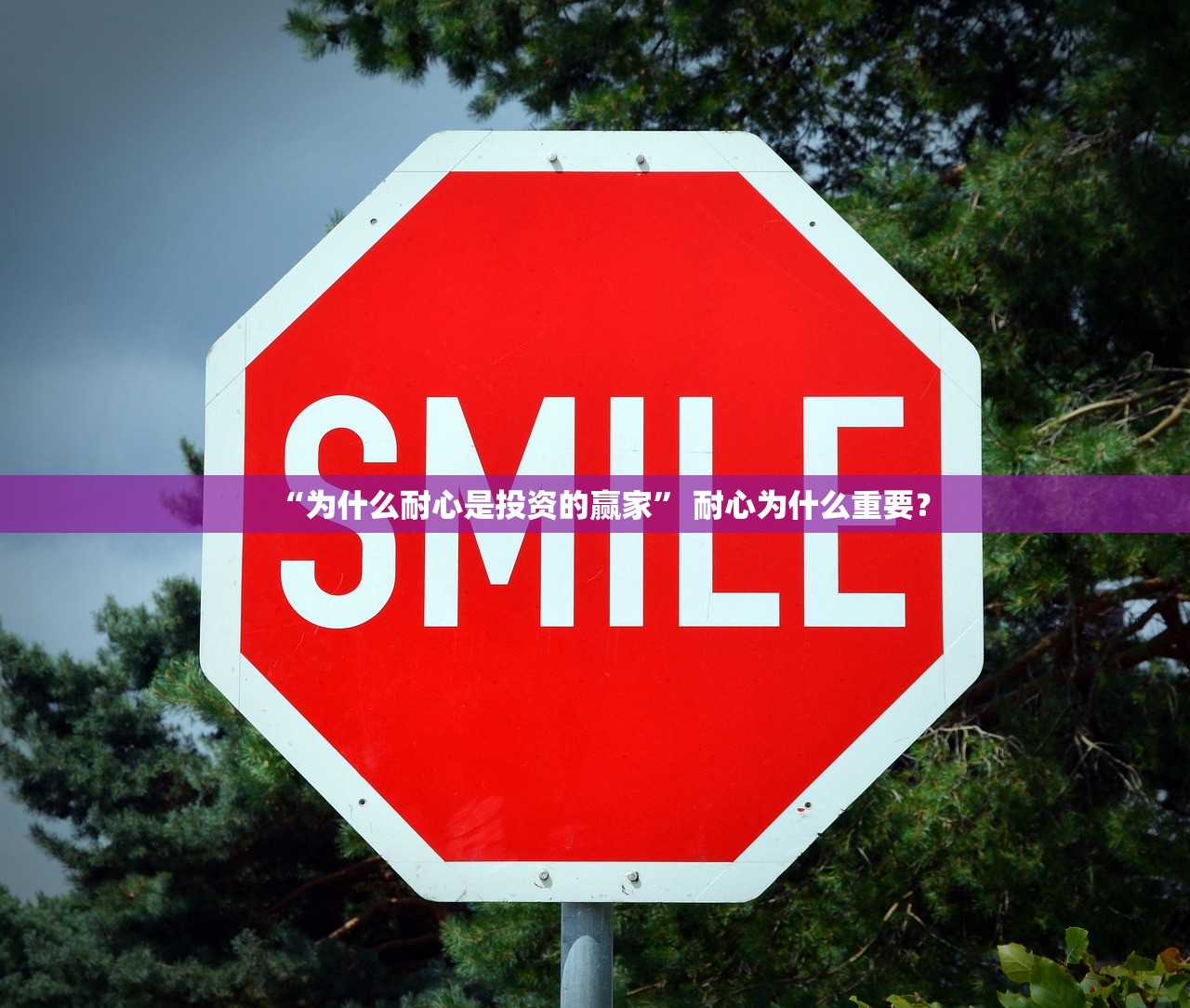 “为什么耐心是投资的赢家” 耐心为什么重要？