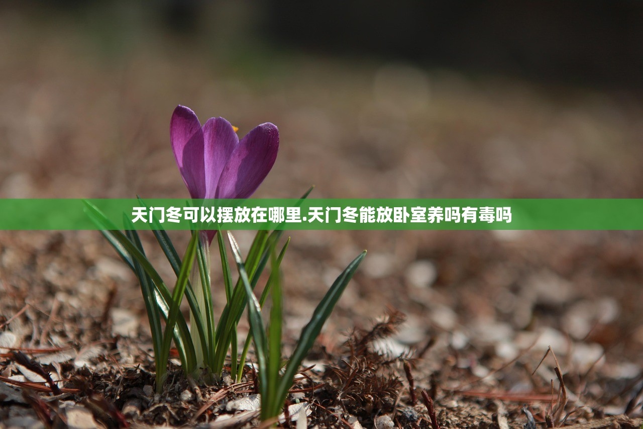 天门冬可以摆放在哪里.天门冬能放卧室养吗有毒吗