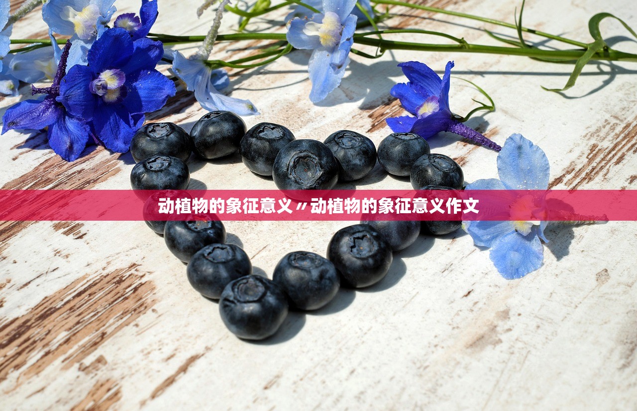 动植物的象征意义〃动植物的象征意义作文