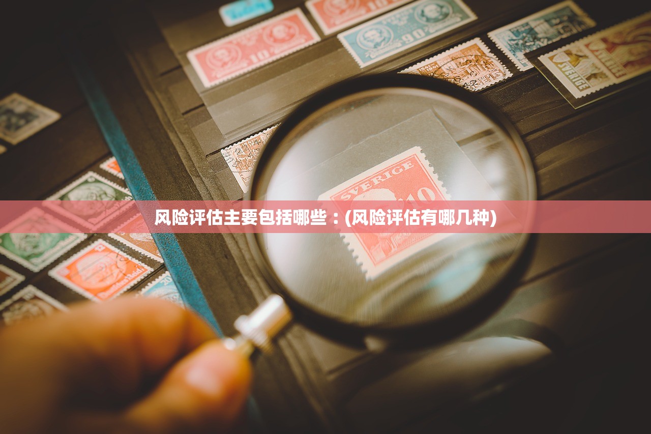 风险评估主要包括哪些︰(风险评估有哪几种)