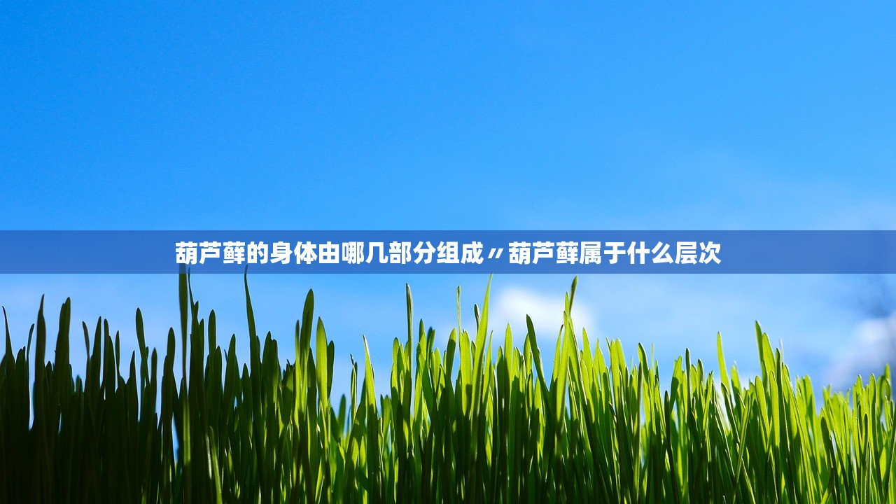葫芦藓的身体由哪几部分组成〃葫芦藓属于什么层次