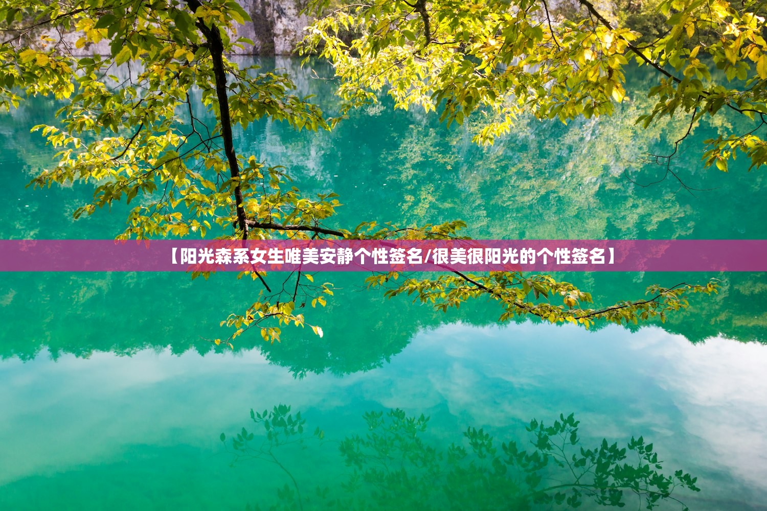 【阳光森系女生唯美安静个性签名/很美很阳光的个性签名】