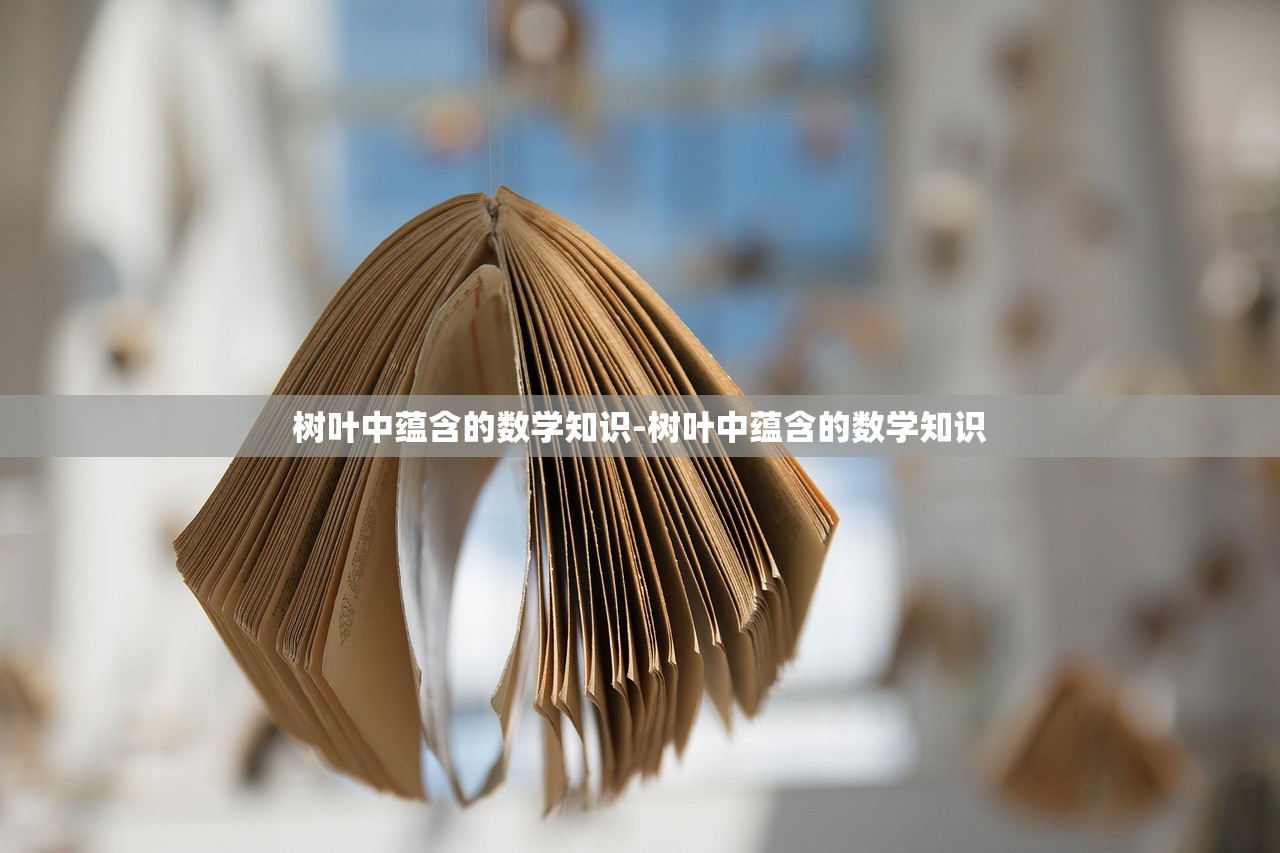 树叶中蕴含的数学知识-树叶中蕴含的数学知识