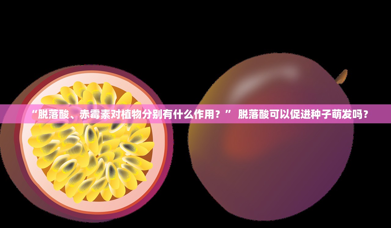 “脱落酸、赤霉素对植物分别有什么作用？	” 脱落酸可以促进种子萌发吗？