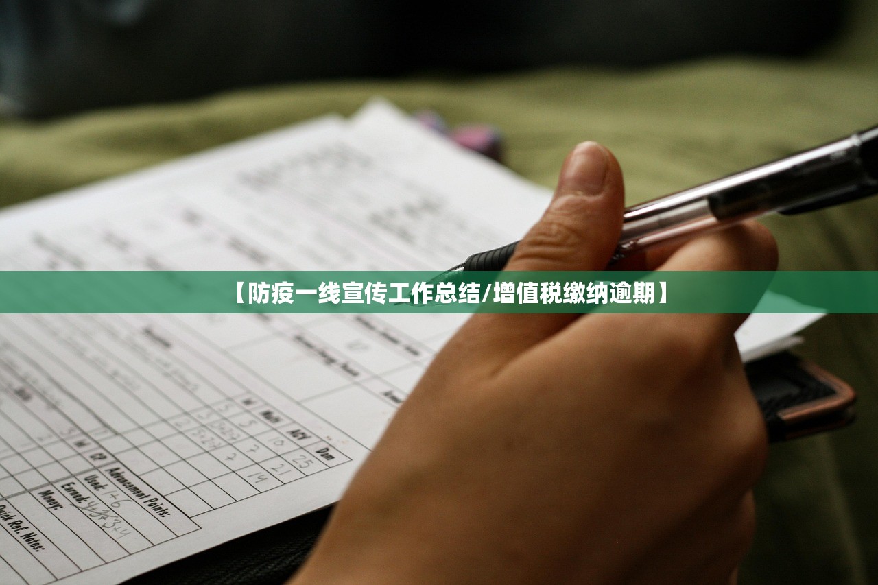 【防疫一线宣传工作总结/增值税缴纳逾期】