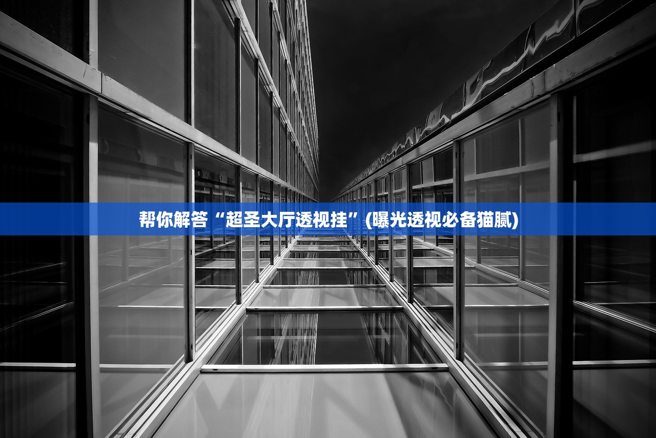 帮你解答“超圣大厅透视挂”(曝光透视必备猫腻)