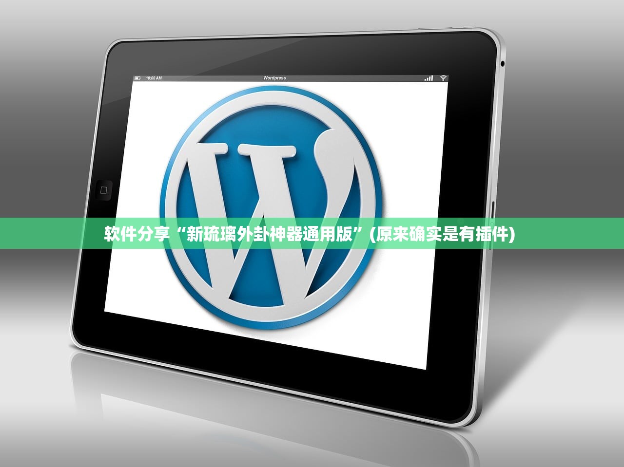 软件分享“新琉璃外卦神器通用版	”(原来确实是有插件) 