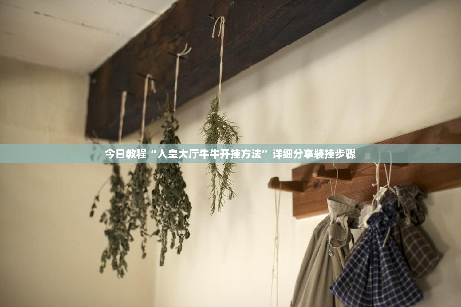 今日教程“人皇大厅牛牛开挂方法”详细分享装挂步骤
