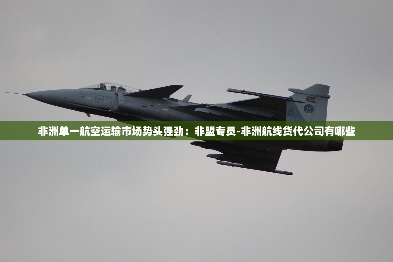 非洲单一航空运输市场势头强劲：非盟专员-非洲航线货代公司有哪些