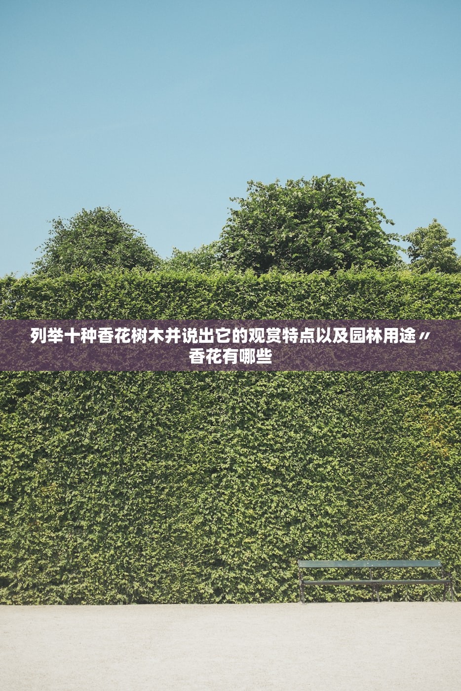 列举十种香花树木并说出它的观赏特点以及园林用途〃香花有哪些 列举十种香花树木并说出它的观赏特点以及园林用途〃香花有哪些