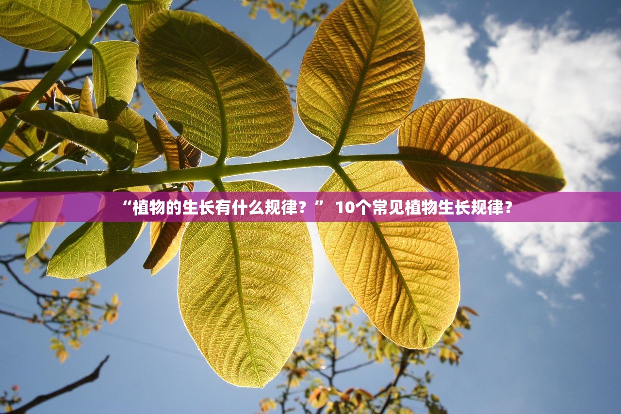 “植物的生长有什么规律？” 10个常见植物生长规律？
