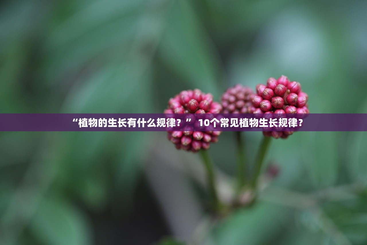 “植物的生长有什么规律？” 10个常见植物生长规律？