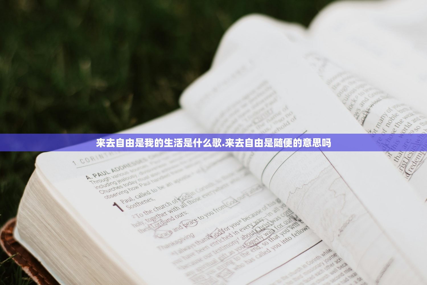 来去自由是我的生活是什么歌.来去自由是随便的意思吗