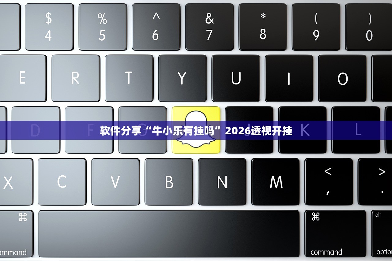 软件分享“牛小乐有挂吗”2026透视开挂