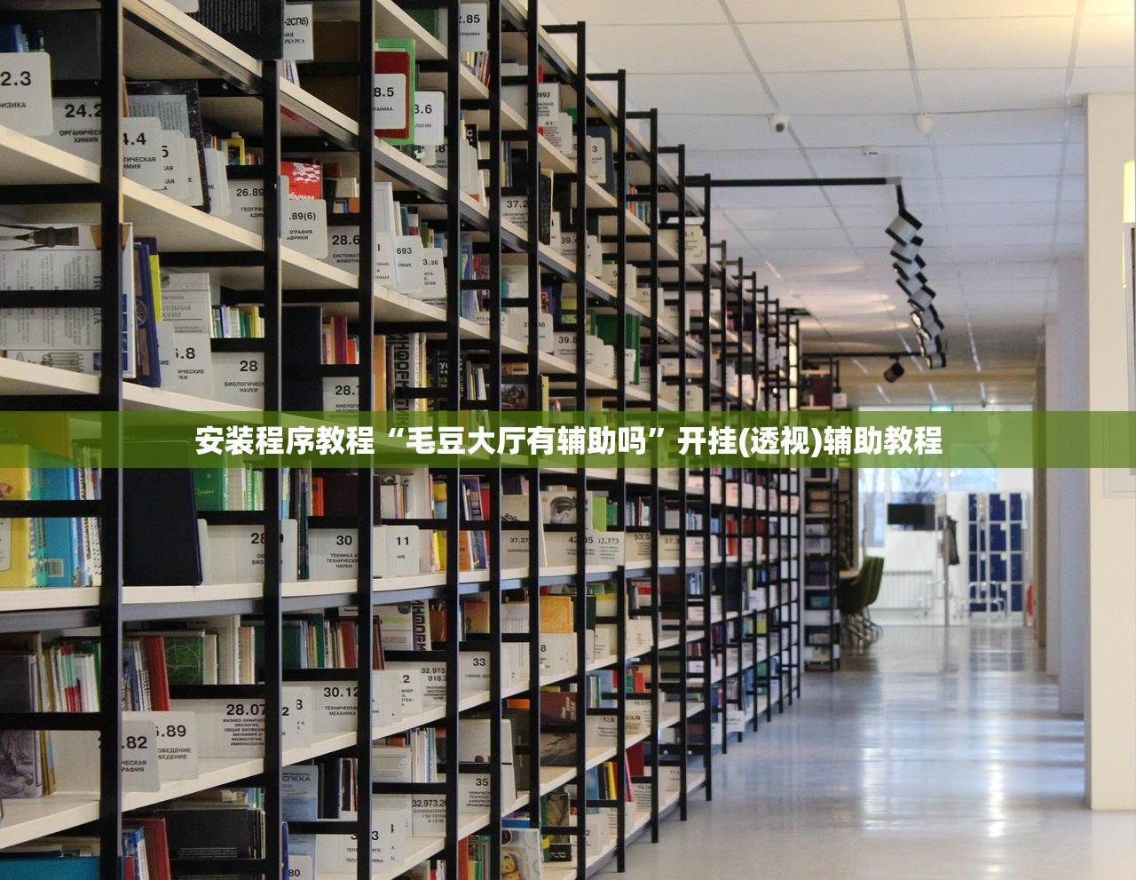 安装程序教程“毛豆大厅有辅助吗”开挂(透视)辅助教程