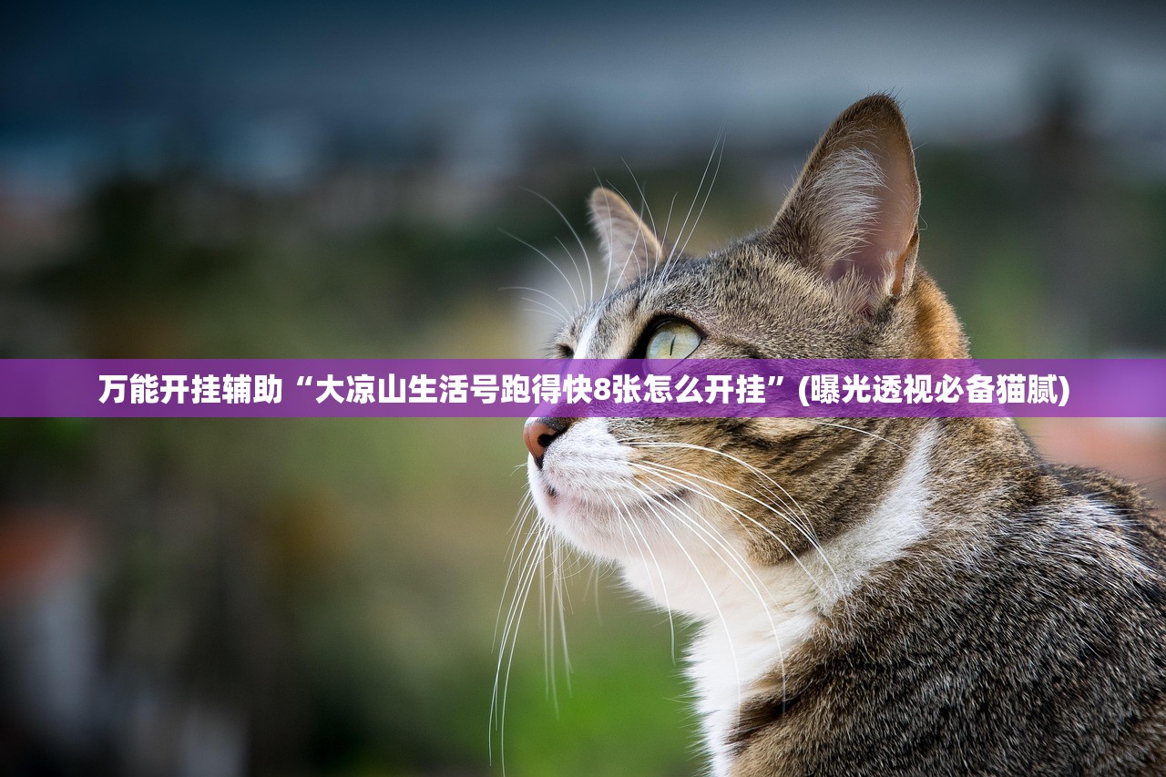 万能开挂辅助“大凉山生活号跑得快8张怎么开挂”(曝光透视必备猫腻)