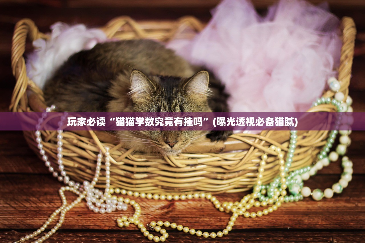 玩家必读“猫猫学数究竟有挂吗	”(曝光透视必备猫腻)