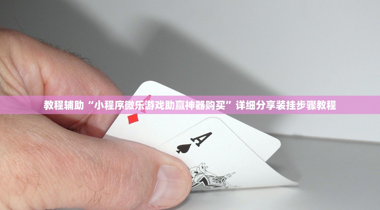 教程辅助“小程序微乐游戏助赢神器购买”详细分享装挂步骤教程