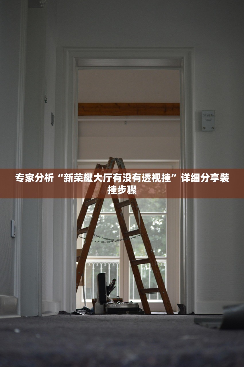 专家分析“新荣耀大厅有没有透视挂”详细分享装挂步骤