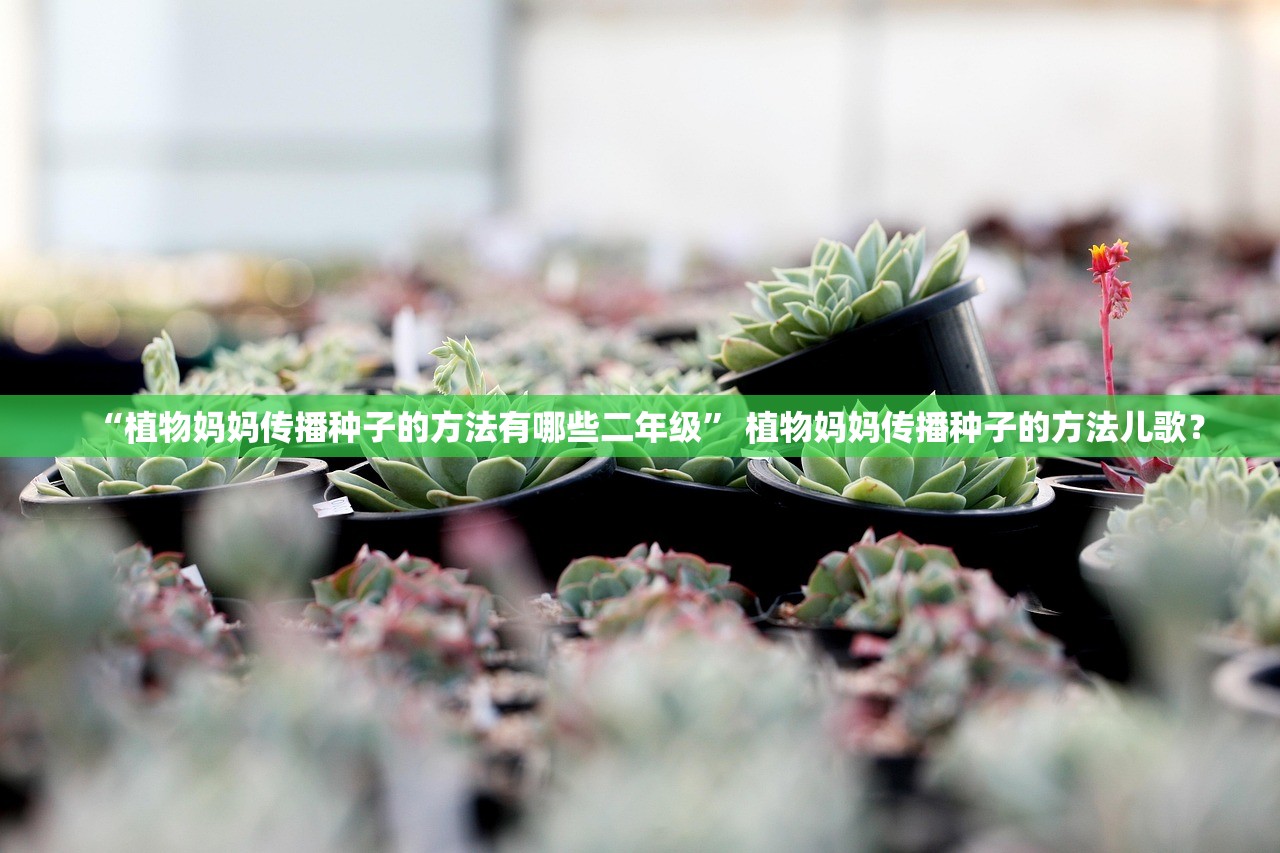 “植物妈妈传播种子的方法有哪些二年级” 植物妈妈传播种子的方法儿歌？