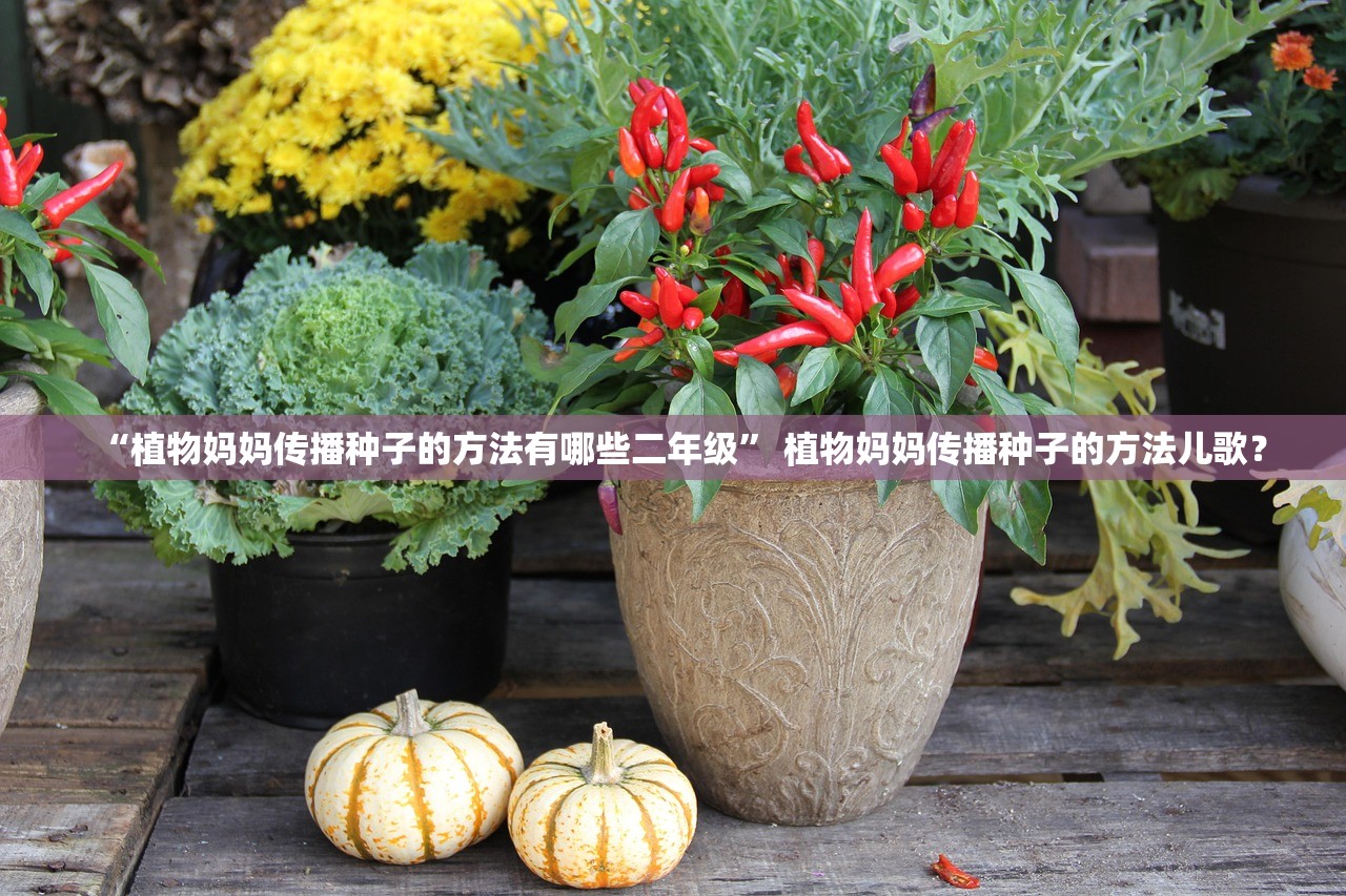 “植物妈妈传播种子的方法有哪些二年级	” 植物妈妈传播种子的方法儿歌？
