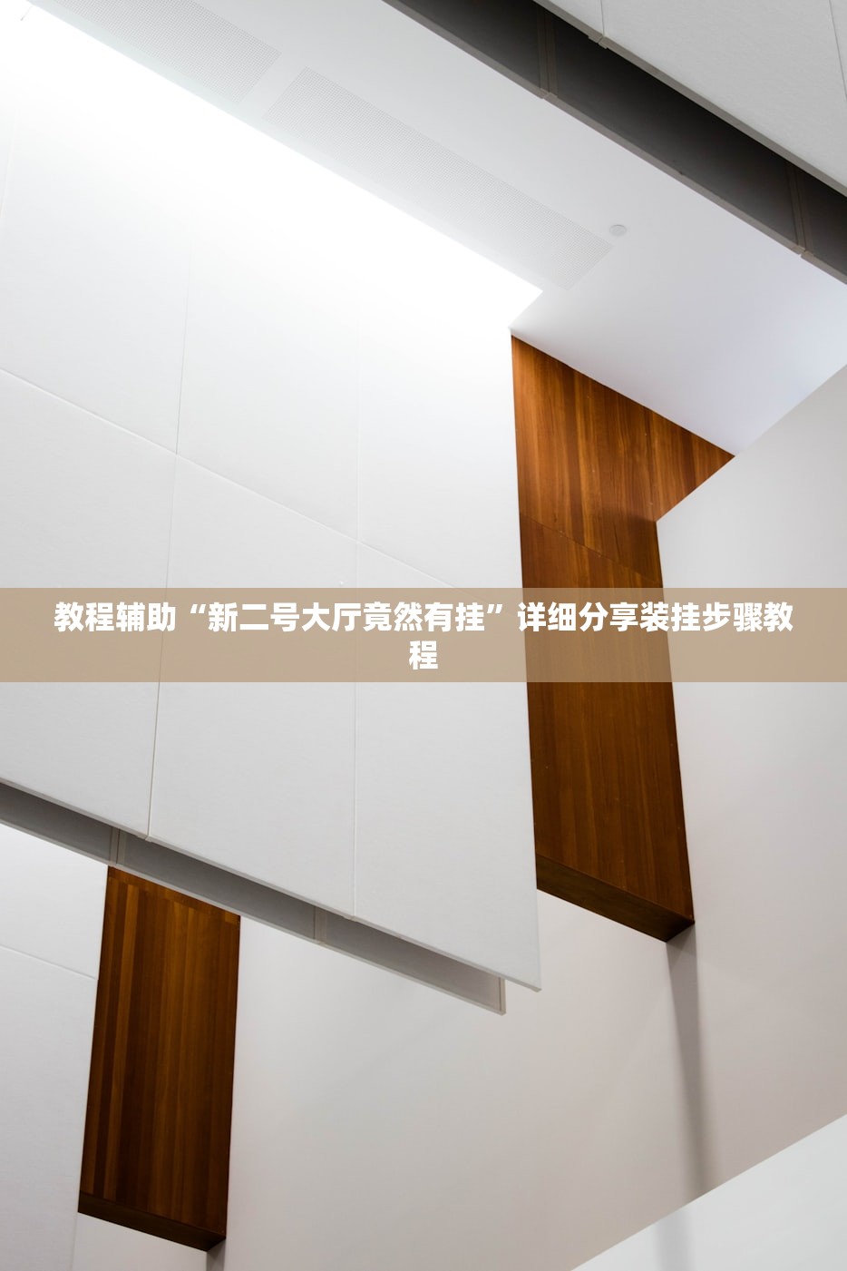 教程辅助“新二号大厅竟然有挂”详细分享装挂步骤教程