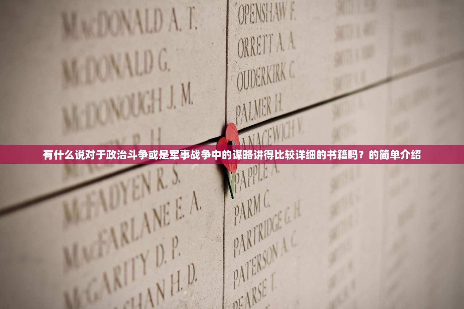 有什么说对于政治斗争或是军事战争中的谋略讲得比较详细的书籍吗？的简单介绍