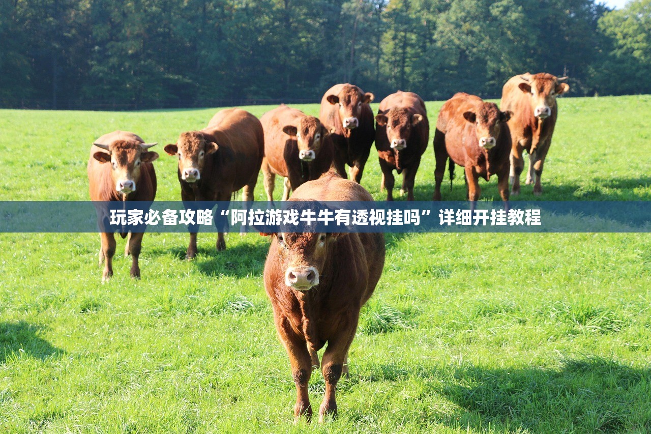 玩家必备攻略“阿拉游戏牛牛有透视挂吗”详细开挂教程