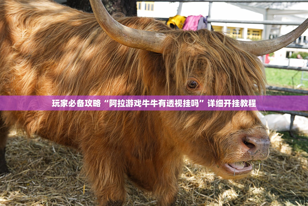 玩家必备攻略“阿拉游戏牛牛有透视挂吗”详细开挂教程