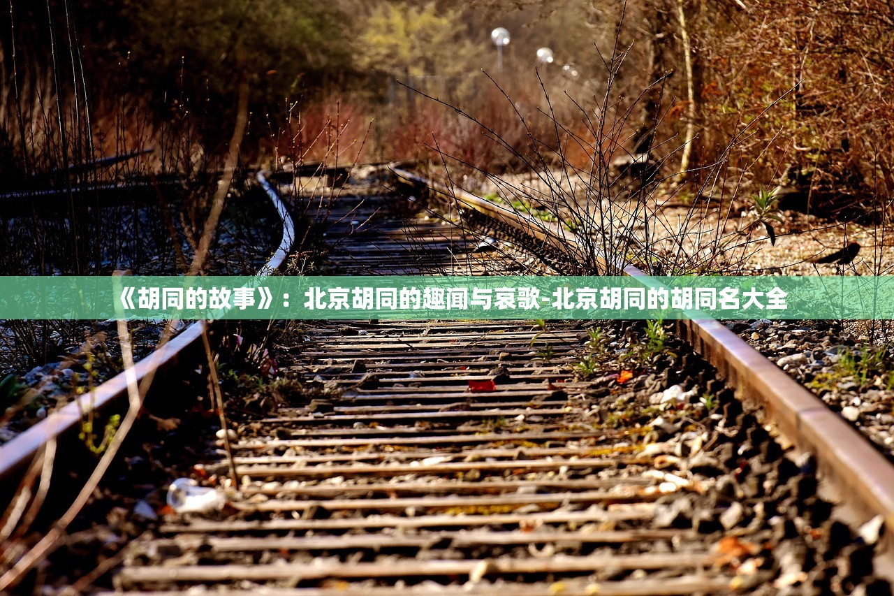 《胡同的故事》:北京胡同的趣闻与哀歌-北京胡同的胡同名大全 《胡同的故事》:北京胡同的趣闻与哀歌-北京胡同的胡同名大全