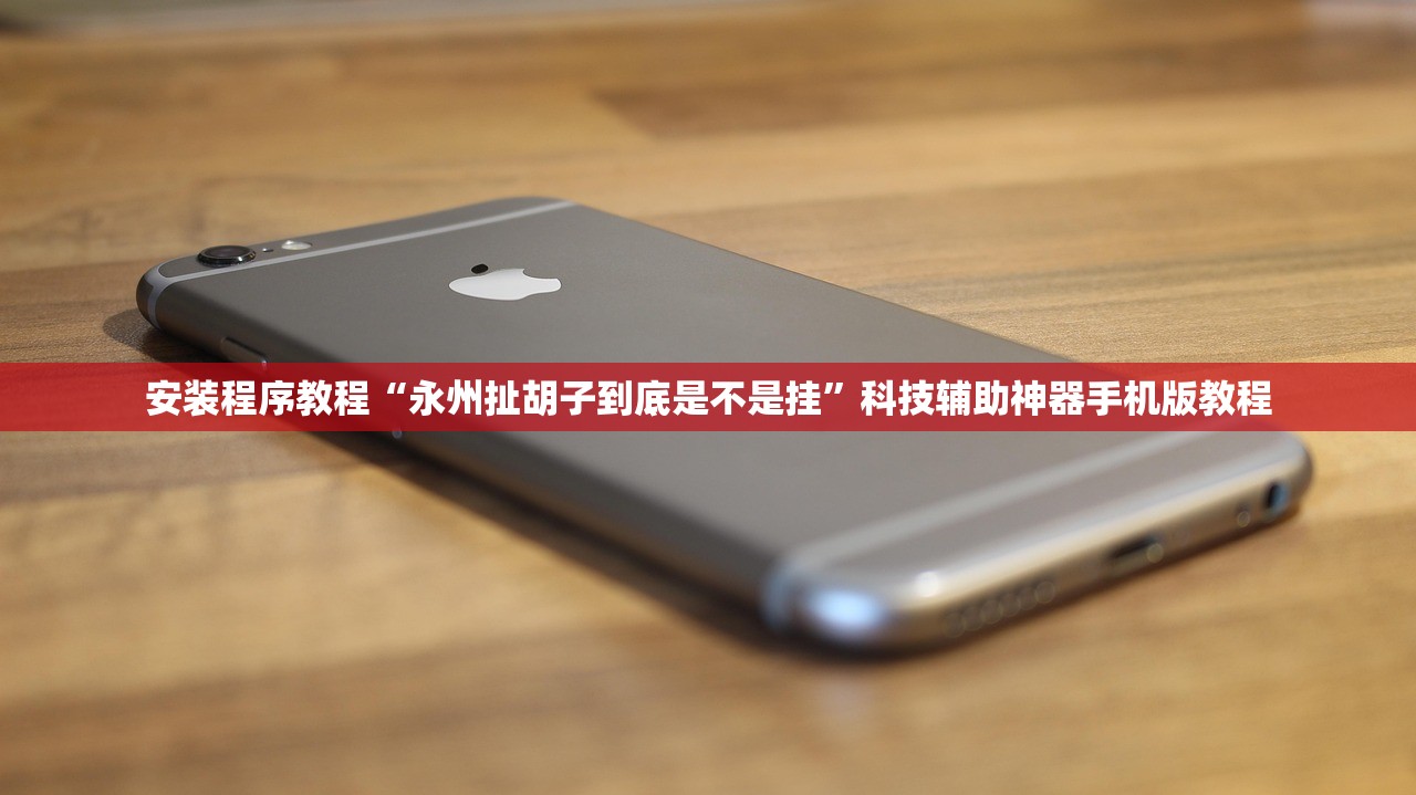安装程序教程“永州扯胡子到底是不是挂”科技辅助神器手机版教程