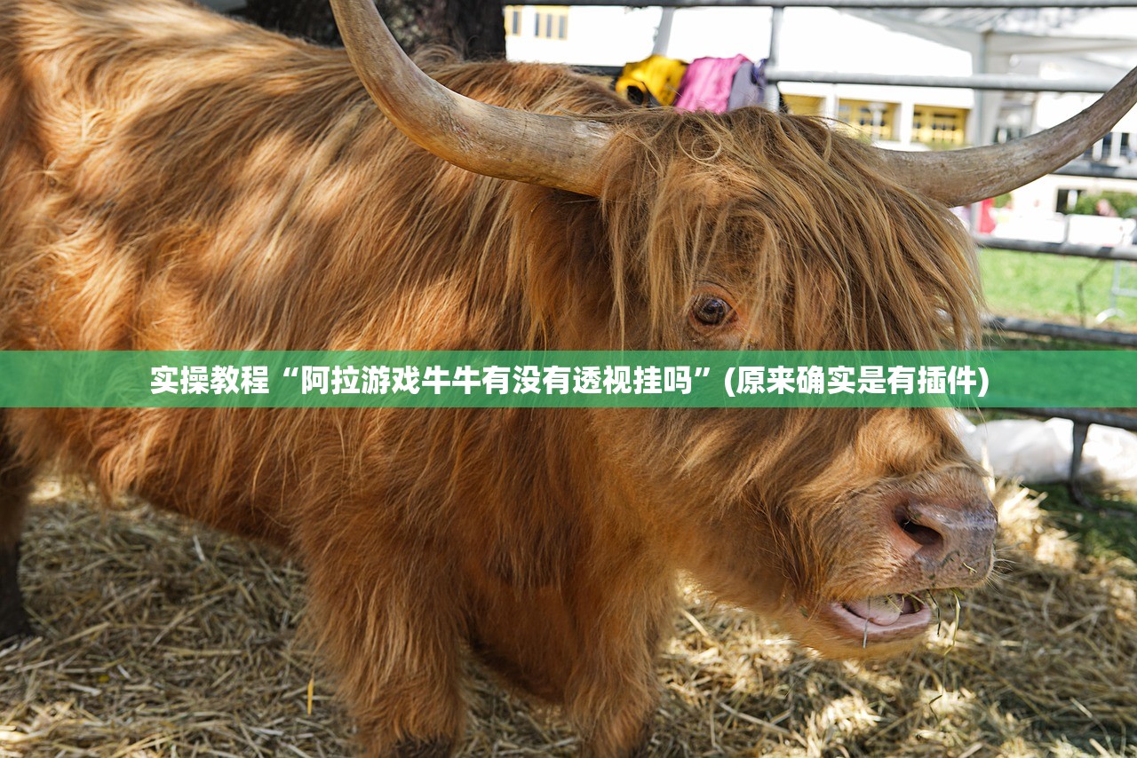 实操教程“阿拉游戏牛牛有没有透视挂吗”(原来确实是有插件)