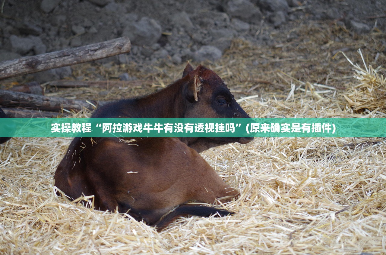 实操教程“阿拉游戏牛牛有没有透视挂吗”(原来确实是有插件)