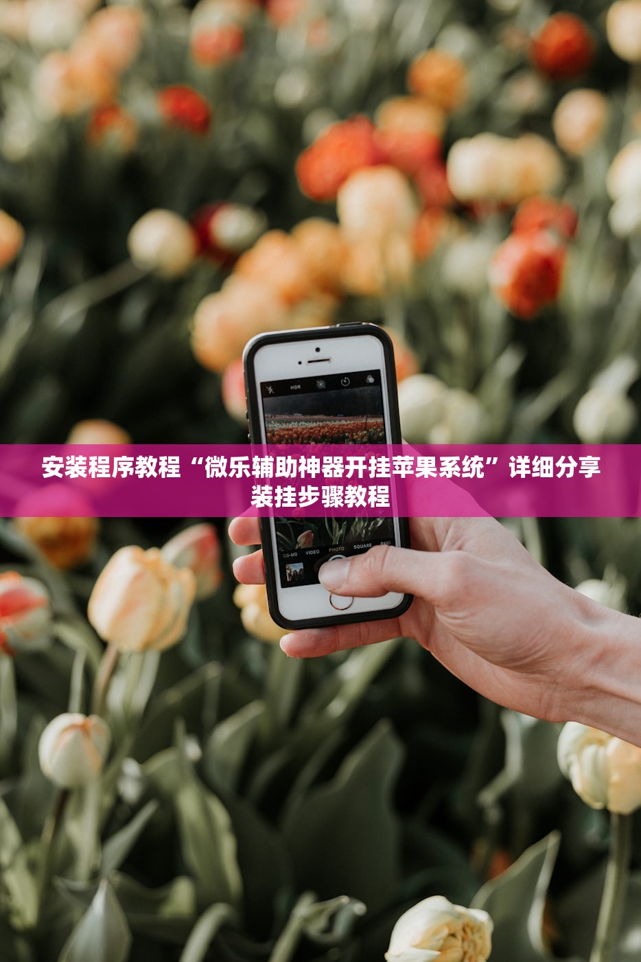 安装程序教程“微乐辅助神器开挂苹果系统”详细分享装挂步骤教程