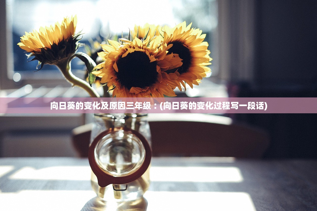 向日葵的变化及原因三年级︰(向日葵的变化过程写一段话) 向日葵的变化及原因三年级︰(向日葵的变化过程写一段话)