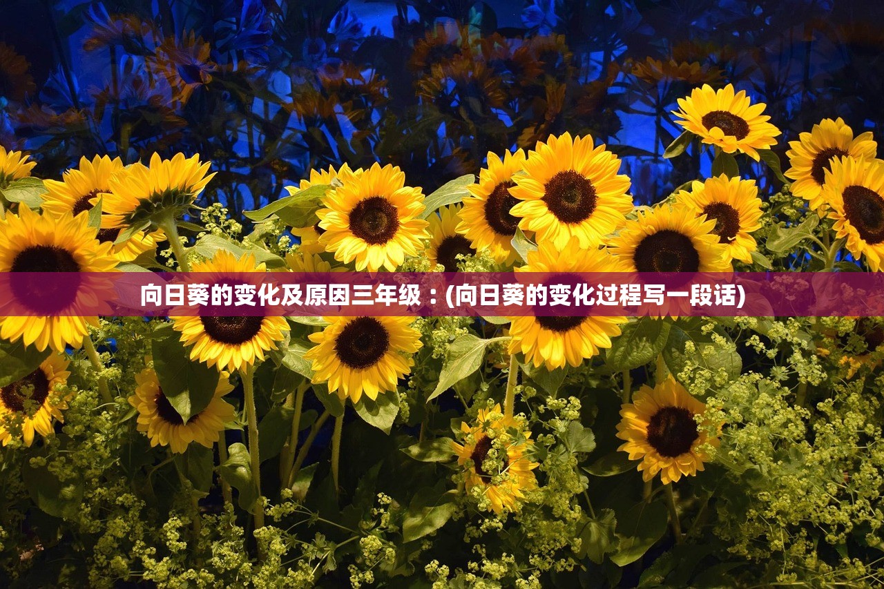 向日葵的变化及原因三年级︰(向日葵的变化过程写一段话) 向日葵的变化及原因三年级︰(向日葵的变化过程写一段话)