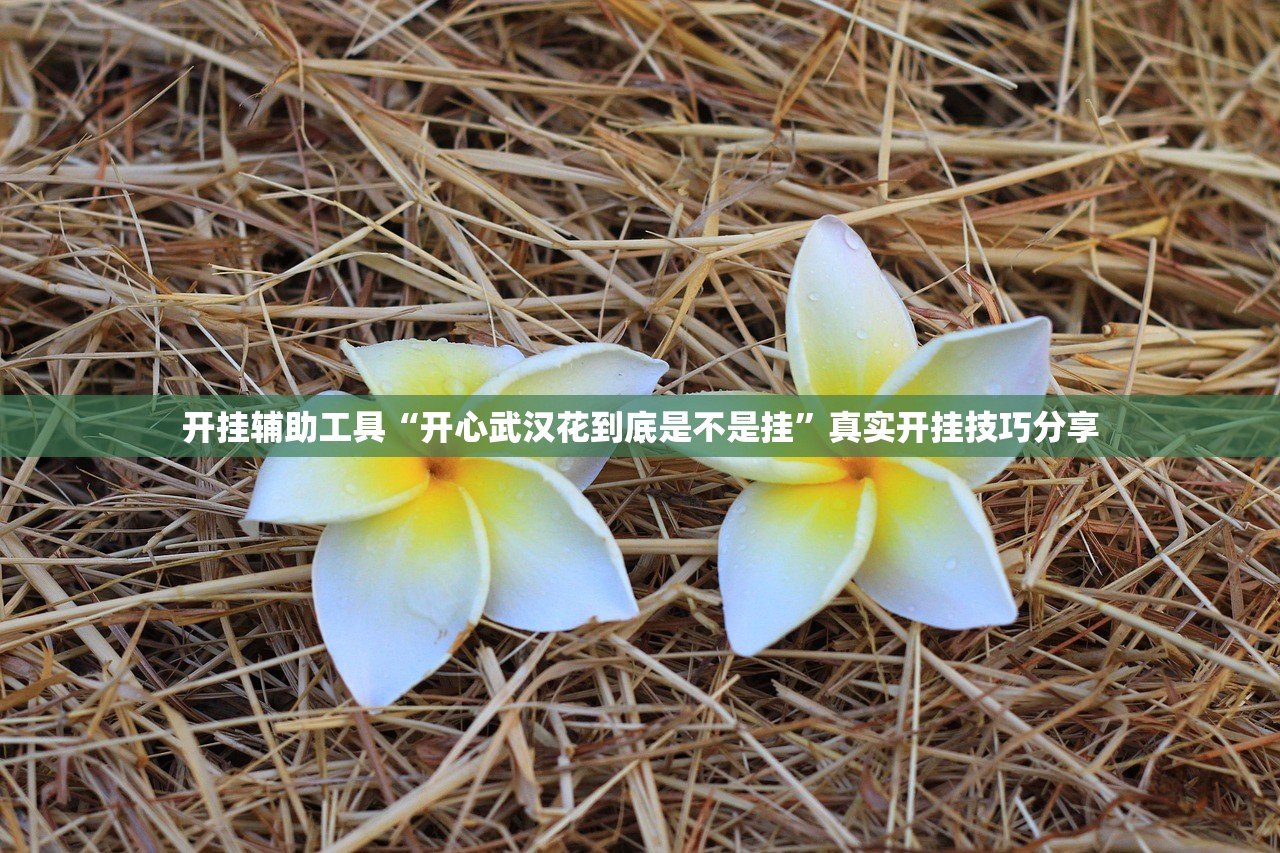 开挂辅助工具“开心武汉花到底是不是挂	”真实开挂技巧分享