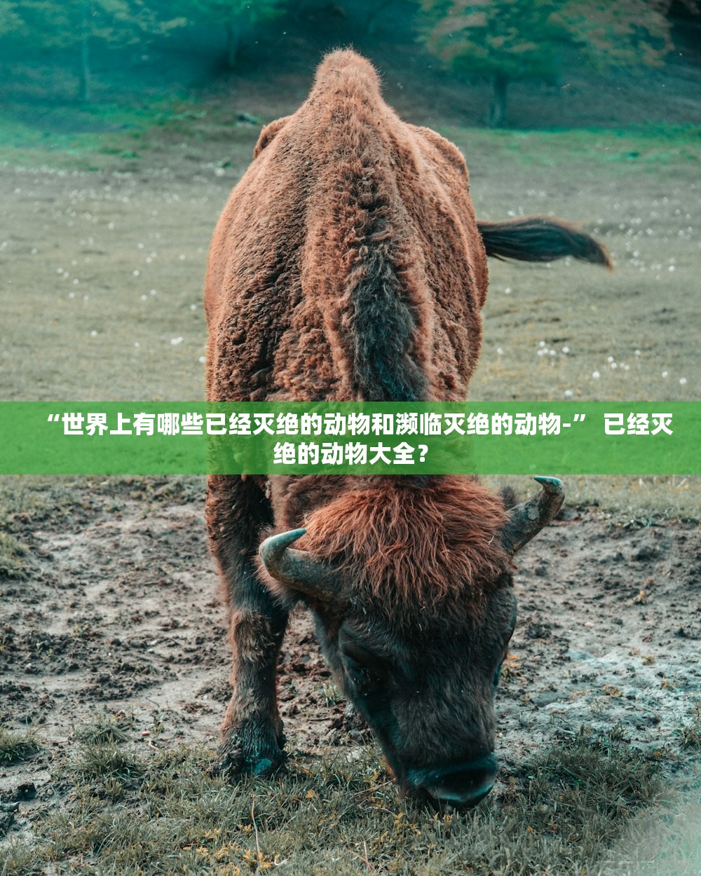 “世界上有哪些已经灭绝的动物和濒临灭绝的动物-” 已经灭绝的动物大全？