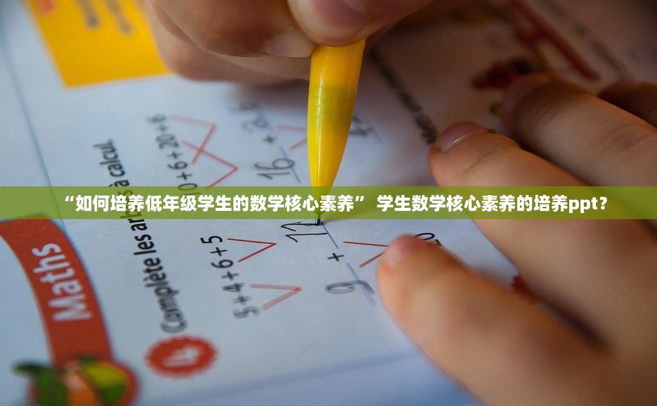 “如何培养低年级学生的数学核心素养	” 学生数学核心素养的培养ppt？