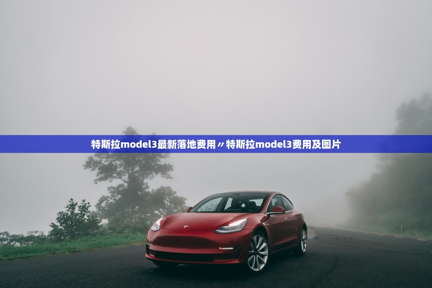 特斯拉model3最新落地费用〃特斯拉model3费用及图片 特斯拉model3最新落地费用〃特斯拉model3费用及图片