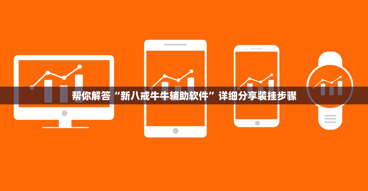帮你解答“新八戒牛牛辅助软件”详细分享装挂步骤